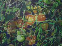 painting of tomatoes in garden