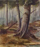 Painting of two large beech trees by a creek