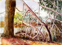 Painting of large pine tree on the left and tree toots